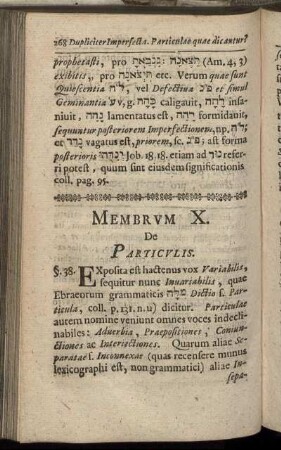 Membrum X. De Particulis.