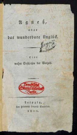 Agneß, oder das wunderbare Unglück : Eine wahre Geschichte der Vorzeit