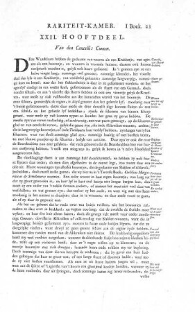 XXII. Hooftdeel. Van den Cancelli: Cuman