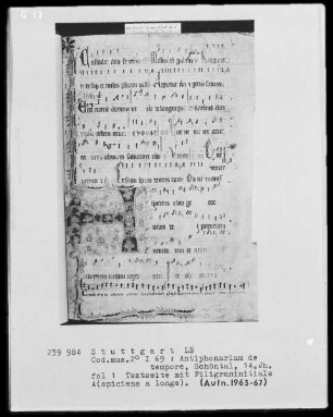 Antiphonarium de Tempore (Zisterzienserhandschrift) — Initiale A (spiciens a longe), Folio 1 recto