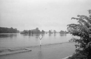 Frankfurt/Oder : In Frankfurt/Oder, Hochwasser