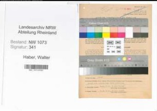 Entnazifizierung Walter Haber , geb. 21.03.1907 (Sparkasseninspektor)