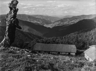Alm : Blick von einer Alm mit Hof auf die bergige Landschaft.