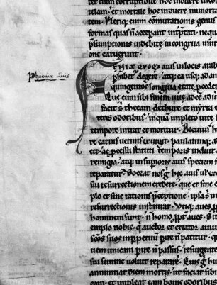 Buchseite mit Silhouetteninitiale F
