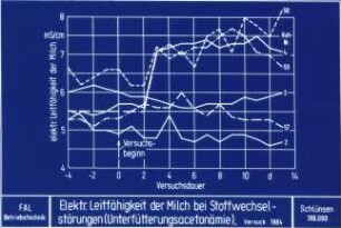 Elektrische Leitfähigkeit der Milch bei Stoffwechselstörungen (Unterfütterungsacetonämie), Versuch 1984