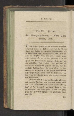Taf. XV. Fig. 102. Der Wanzen-Skorpion. - Nepa Cimicoides. Linn.