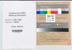 Entnazifizierung Helmut Liese, geb. 07.06.1908 (Jurist)