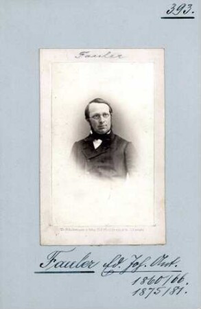 Fauler, Eduard Johann Anton, Nationalliberale