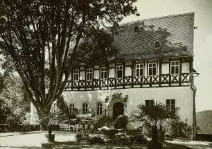 Schloss Rauenstein. Schlossterrasse mit Burglinde