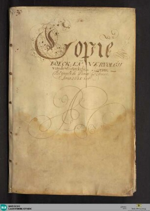 Copije boek van de Partikeliere Brieven - Cod. Karlsruhe 465