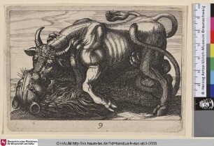 [Stier auf einem Löwen; Bull on Top of Lion]
