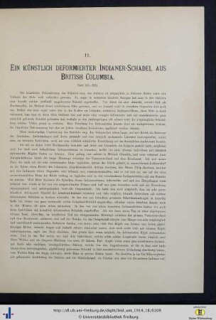 Ein künstlich deformierter Indianer-Schädel aus British Columbia.