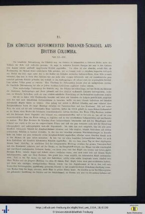 Ein künstlich deformierter Indianer-Schädel aus British Columbia.