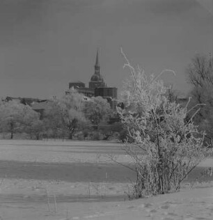 Stralsund. St.-Nikolai-Kirche, von Osten