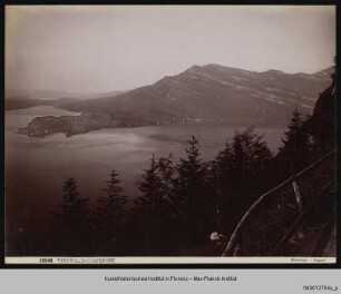 Rigi