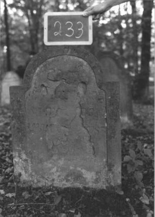 Grabstein 233 (Index: 99894706) Material: Sandstein Zustand: größtenteils abgeblättert Maße HxBxT: 78x56x10 cm Beschreibung: Stele mit eingezogenem Rundbogenabschluss: Grabstein 233