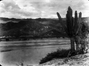 Rio Grande bei El Oro : Flusslauf des Rio Grande unterhalb der Mizque-Mündung. Im Vordergrund Kakteen, im Hintergrund Gebirgszüge.