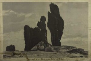 Steingrab in der Lüneburger Heide bei Wilsede