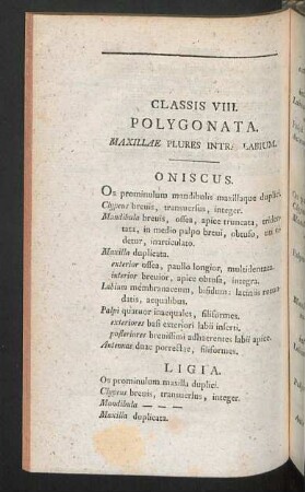 Classis VIII. Polygonata.