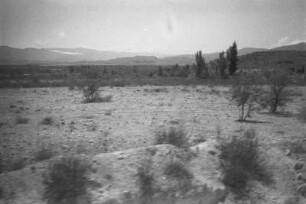 Fahrt nach Puerto Barrios (Lateinamerika-Aufenthalte 1934/1942 – 5. Mexiko 1937)