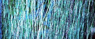 Collage IV - Interferenzen