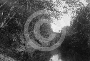 Flusslandschaft Lettin