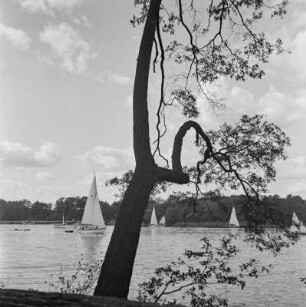 Segelboote auf der Havel