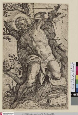 [Das Martyrium des Hl. Sebastian]