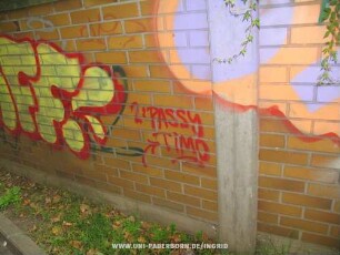 2: PASSY TiMO