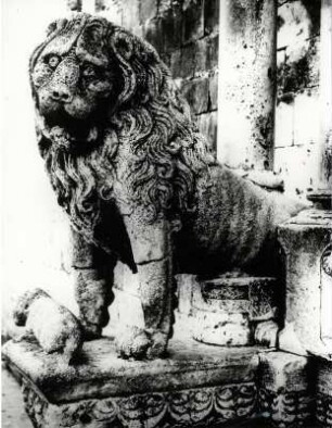 Löwe vor der Kathedrale von Altamura