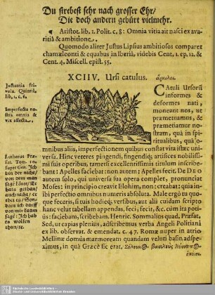 XCIIV. Ursi catulus