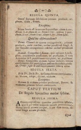 Caput Tertium De Regulis Specialibus mediæ syllabæ.