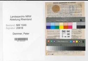 Entnazifizierung Peter Demmer , geb. 29.05.1896 (Weichenwaerter)