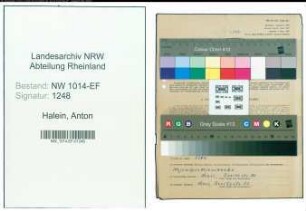 Entnazifizierung Anton Halein , geb. 02.10.1903 (Sprengmeister)