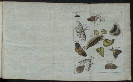 Fig. I. [bis] Fig. VIII.