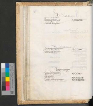 Burgmannen zu Wachenheim, Strahlenberg und Armsheim
