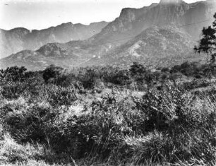 Savannenlandschaft vor einem Bergkette : Blick auf die Savannenlandschaft vor einem Bergkette