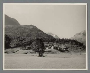 Bei Maloja
