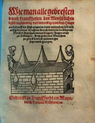Wie man alle gebresten vnnd kranckheiten des Menschlichen leibs, außwendig und inwendig, von dem Haupt an, bis auff die Füß, artzneien unnd vertreiben soll, mit außgebranten Wassern