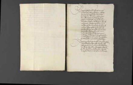 Zeitungsnachrichten über Religionsangelegenheiten in Frankreich, den geplanten Zug des französischen Königs Karl IX. nach Deutschland, Gerüchte über eine Beteiligung des Hauptmanns von Toul an der Ermordung des Heinrich von Ulm sowie die militärischen Werbungen des von Berthi für Louis I. de Bourbon, Fürst von Condé.