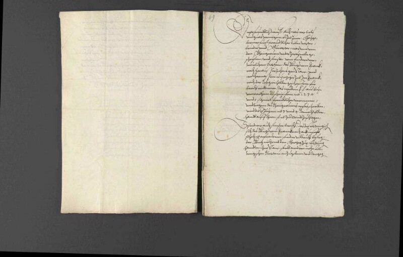 Zeitungsnachrichten über Religionsangelegenheiten in Frankreich, den geplanten Zug des französischen Königs Karl IX. nach Deutschland, Gerüchte über eine Beteiligung des Hauptmanns von Toul an der Ermordung des Heinrich von Ulm sowie die militärischen Werbungen des von Berthi für Louis I. de Bourbon, Fürst von Condé.