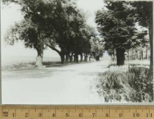 Fotografie, Beutnitz (Bytnica)