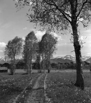Tiefenberger Moos,, Gemeinde Ofterschwang bei Sonthofen im bayr. Allgäu