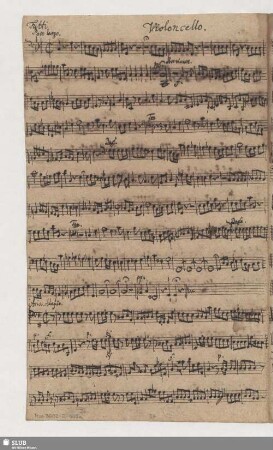 Violoncello.