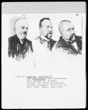 Die Professoren Karl Kraepelin, Richard Schorr und Georg Thilenius