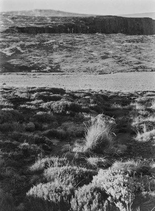 Felsformationen : Flache Felsformation in den Drakensbergen ("Drachenberge")