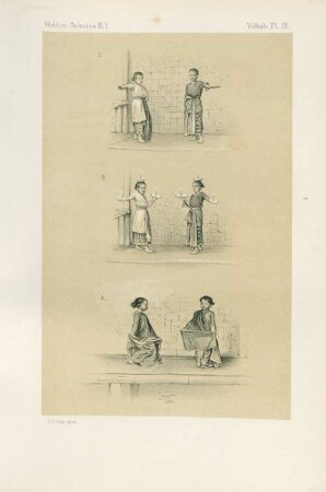 Pl. IX