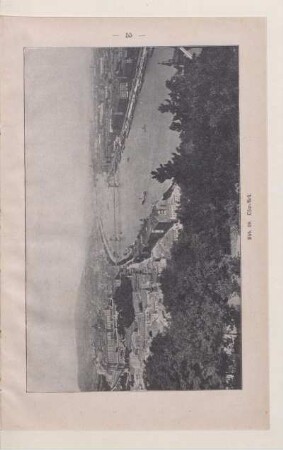 Abb. 39. Ofen-Pest