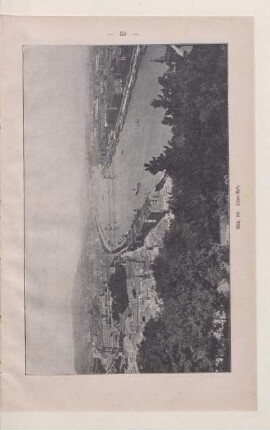 Abb. 39. Ofen-Pest