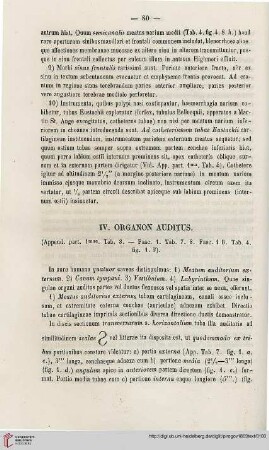 IV. Organon auditus